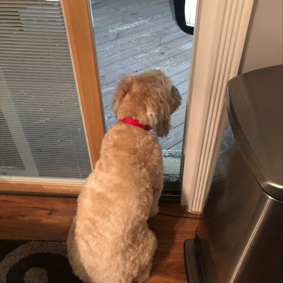 Meet your Posher, Christine - Picture 1 of 1